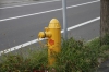 黄色い消火栓